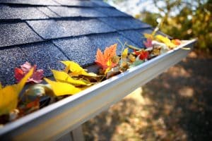 Best time to clean your gutters